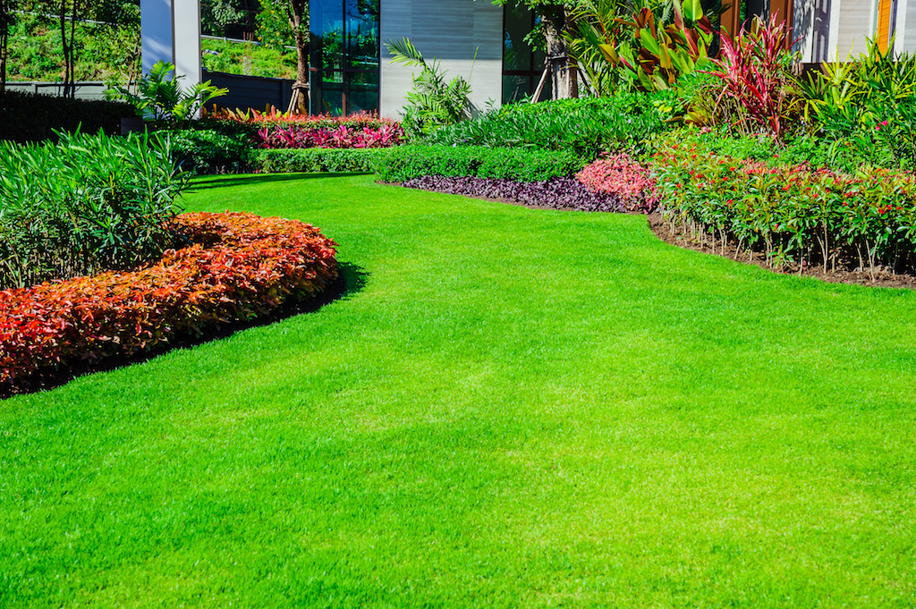 The Best Way to Keep Your Landscape Attractive