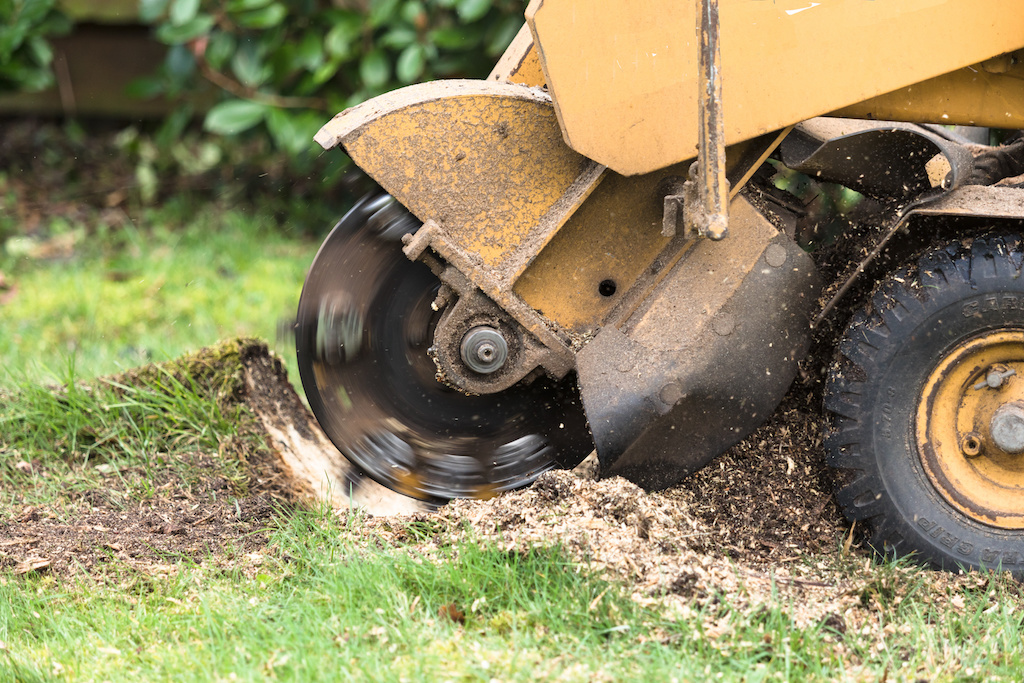 stump grinder